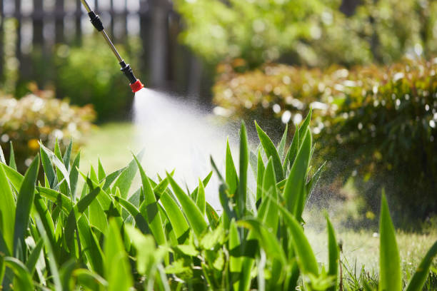 Tamper-Resistant Bait Stations for Rodents in Midway North