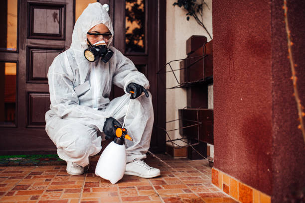 Attic and Crawl Space Rodent Treatment in Midway North